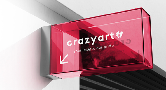 Crazy Art